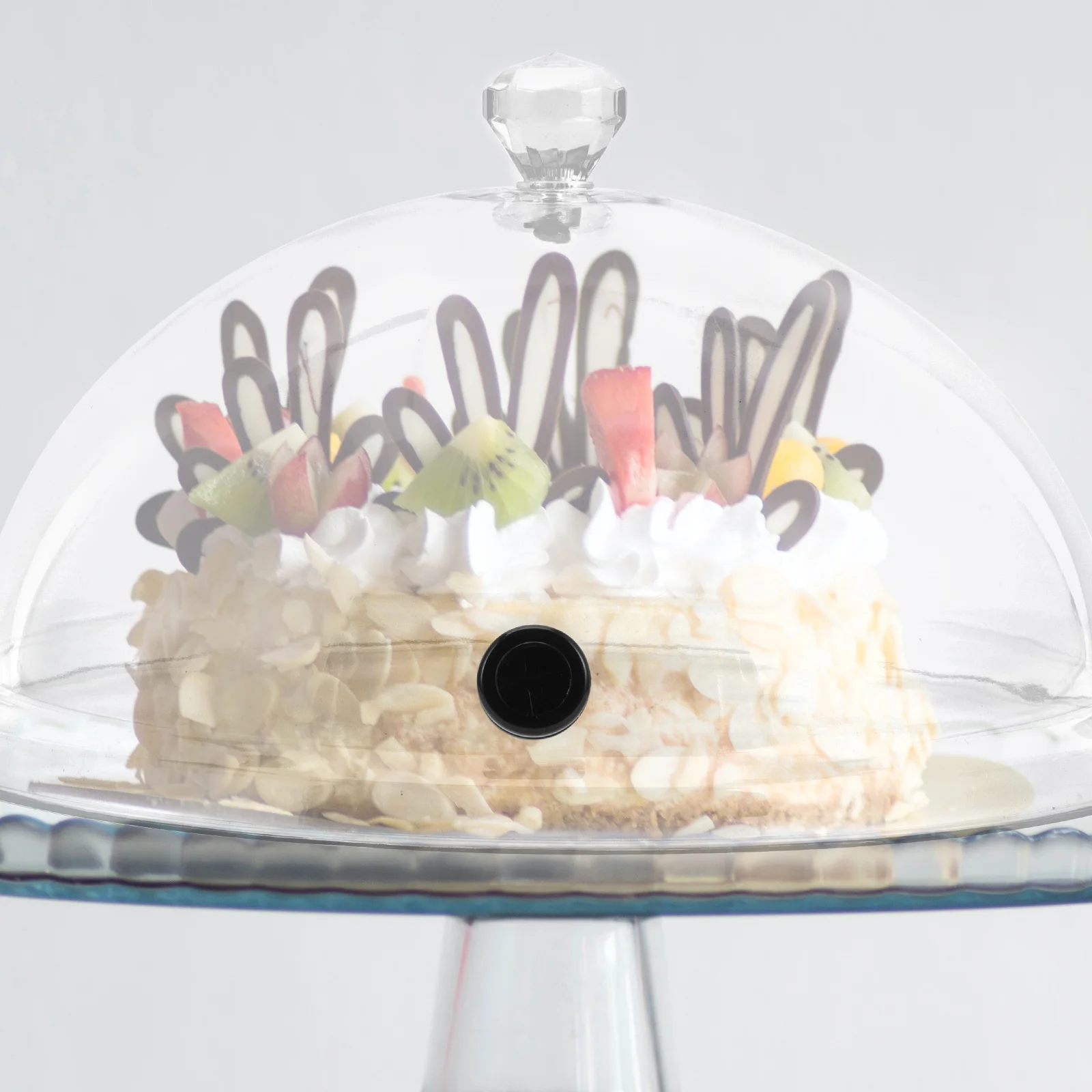 

Smoking Cloche Protective Cover PP Dust Insect Proof Food Display Lid for Indoor Commercial Western Cuisine Kitchenware