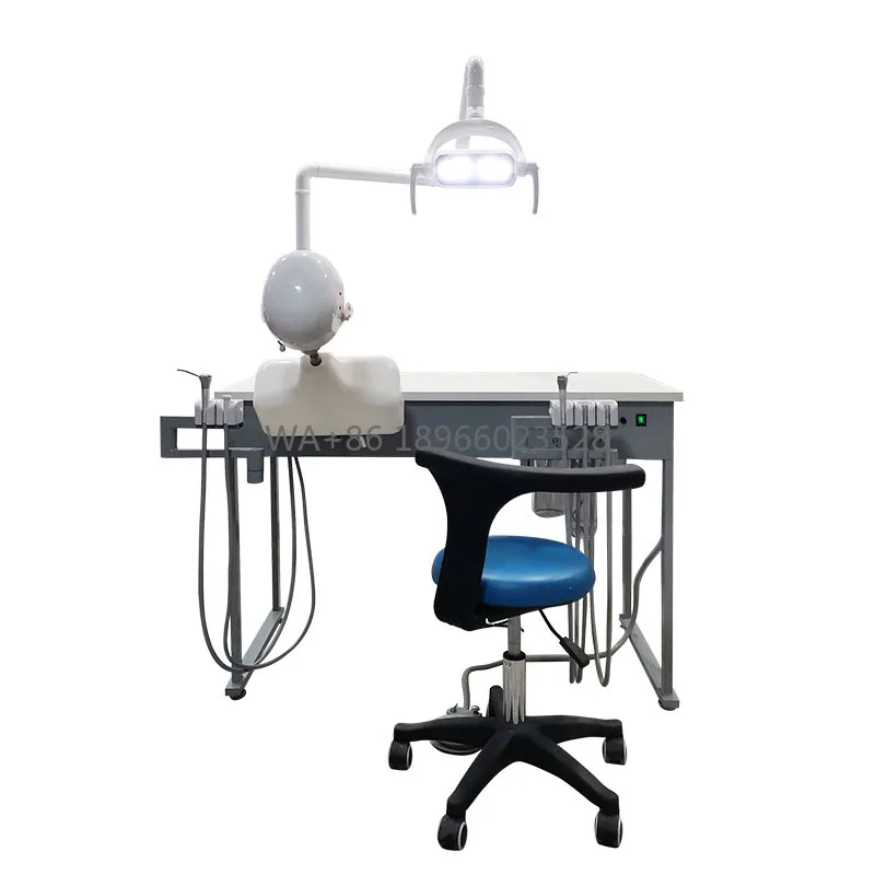 China Manufacturer Dental Student Training Unit Dental Phantom Head Dental Simulator