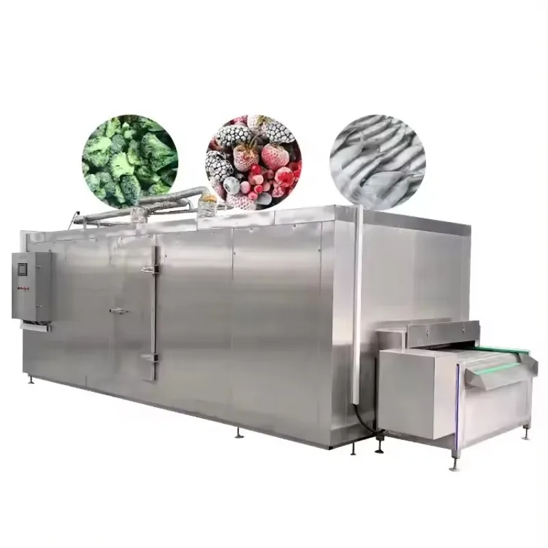 Liquid Nitrogen Tunnel Blast Freezer Small IQF Machine for Shrimp Vegetable Fruit Individual Quick Freezing Custom
