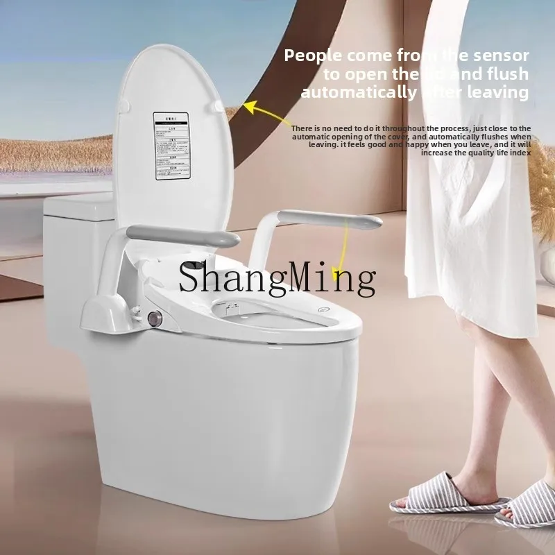 CL  toilet fully automatic with cleaning and drying siphon automatic flushing with armrest toilet