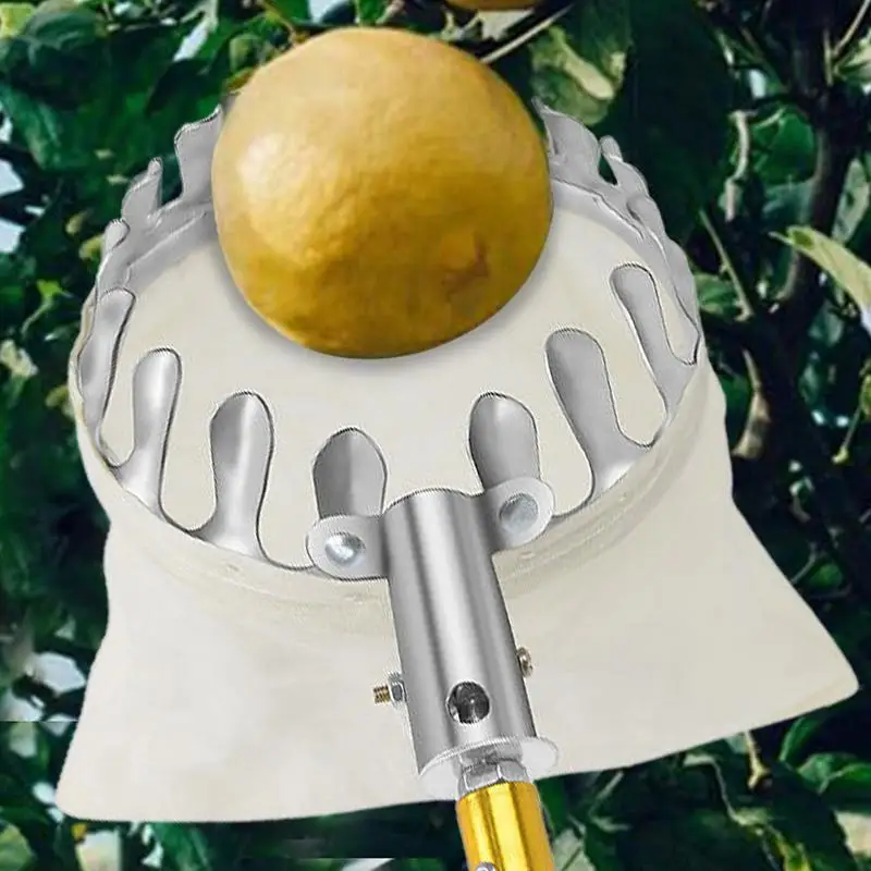 Recolector de frutas de Metal con cesta, herramienta de recolección de árboles altos, cereza, melocotón, huerto, jardinería, 1 unidad