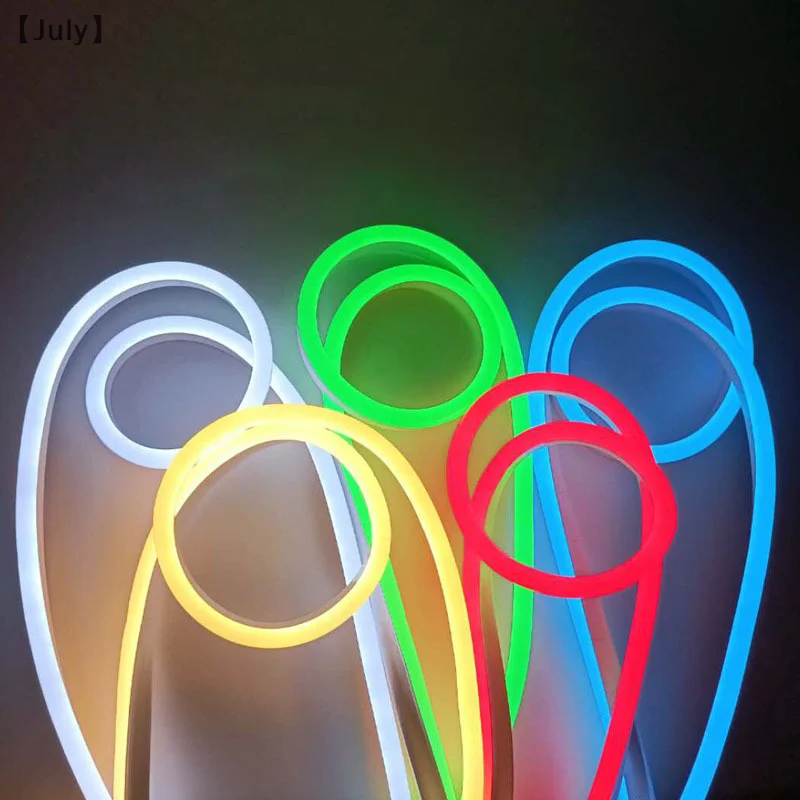 110v Neon LED Flexible Light With Outdoor Waterproof Neon Living Room Ceiling Light Tube 2835 Patch Light Strip