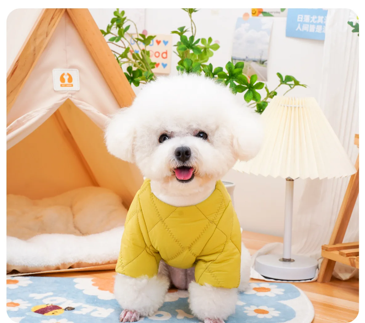 Pet Coat with Plush Toy, Warm Soft Winter Clothes for Dogs and Cats, Cute Jacket dog  outfits   Coats