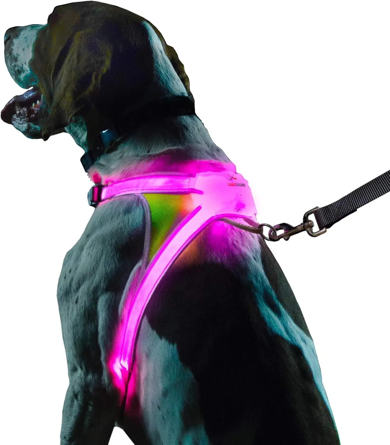 

USB Rechargeable LED Dog Harness with Multicolored Fiber Optics, Adjustable, Lightweight, Rainproof for Large Dogs