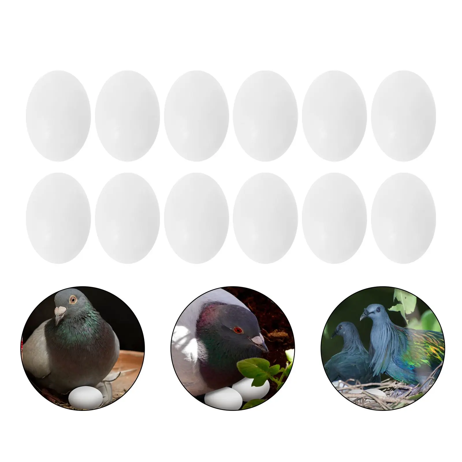 

30pcs Simulation Pigeon Eggs Realistic Plastic Bird Egg Decor Artificial Injection Molding For Home Office Pet Supplies Improve
