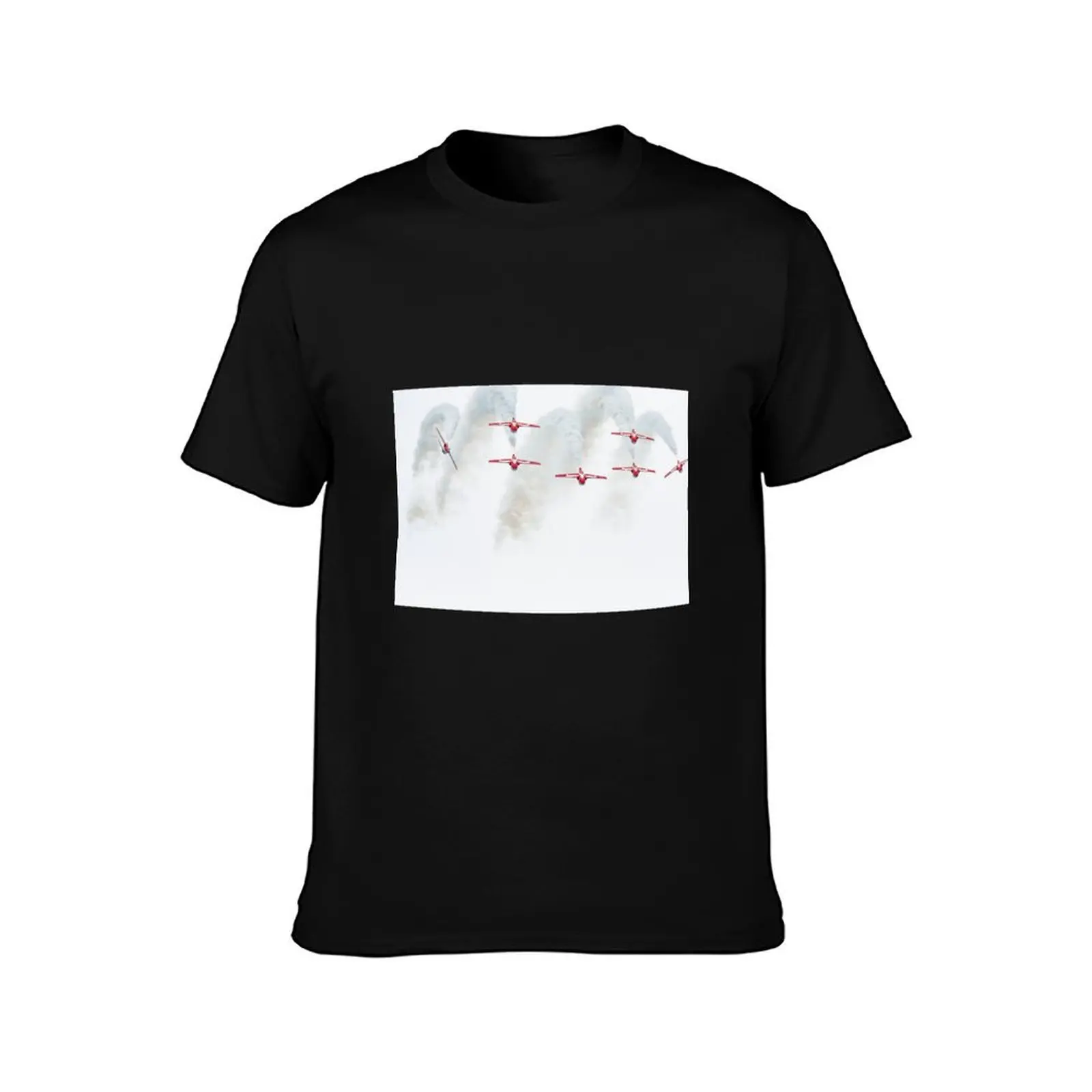 Snowbirds 431 Air demonstration squadron T-Shirt Holiday Vacation Tee Shirt T-Shirt