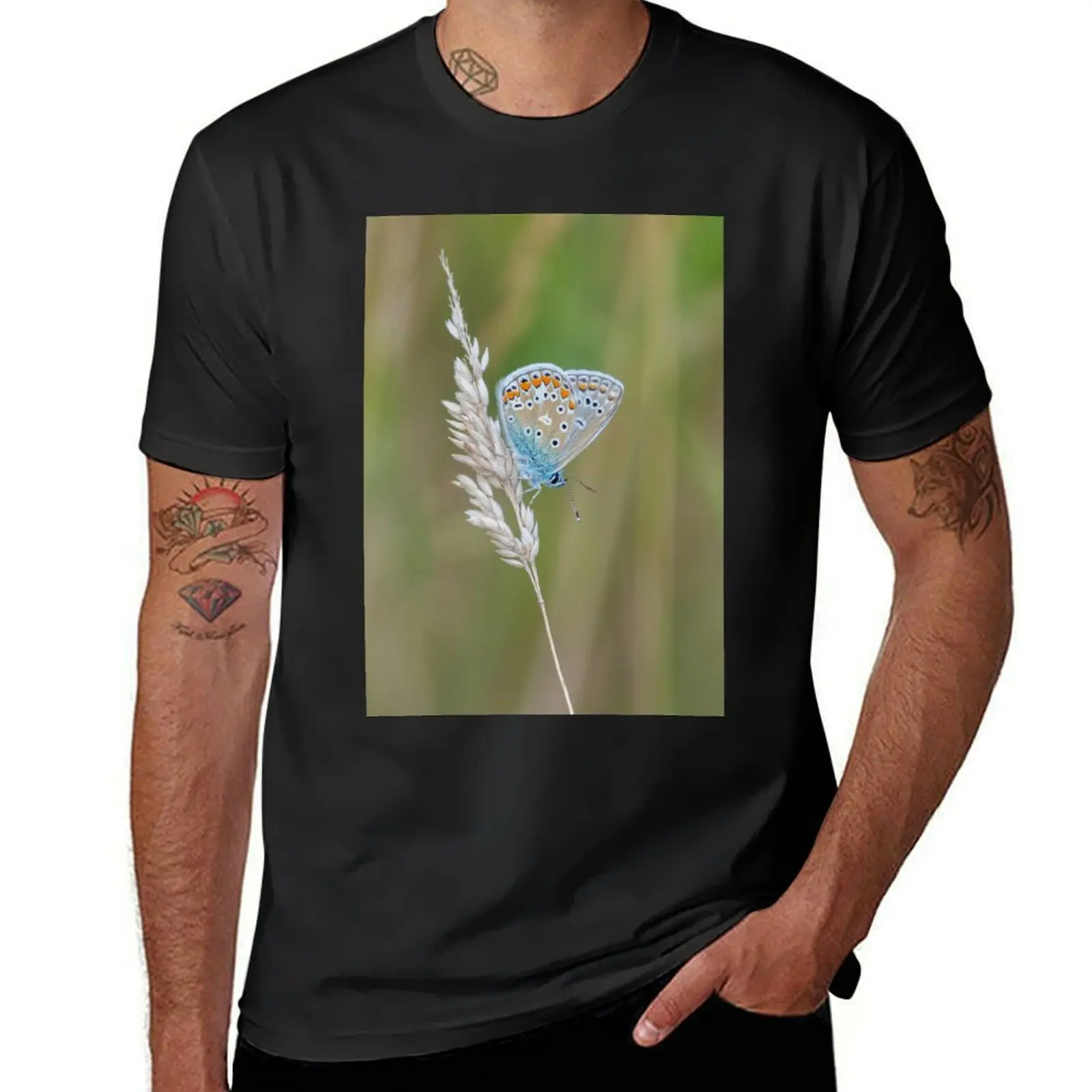 Common blue butterfly on summer grass T-Shirt customizeds summer top kawaii clothes mens t shirts