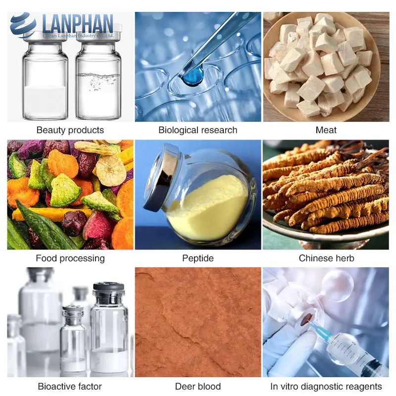 Energy-Saving Compact Automatic Pilot-Scale Freeze Dryer Lyophilizer Digital Control Auto Stoppering for Cost-Effective