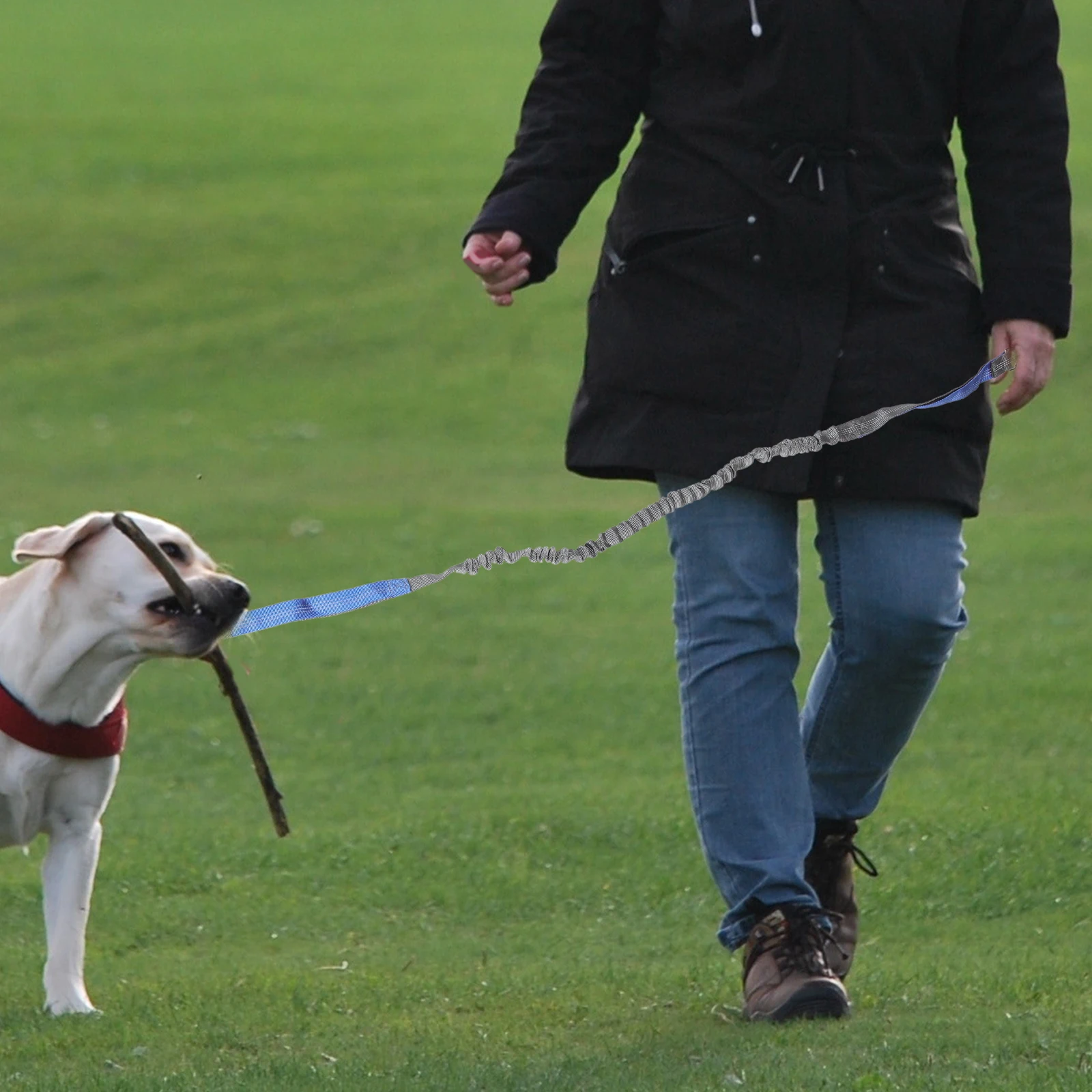 

Rope Waist Belt Pet Traction Walking Running Gray Blue Adjustable Long Lasting Small Medium Dogs Hand Free Pet Leash Dog Walking