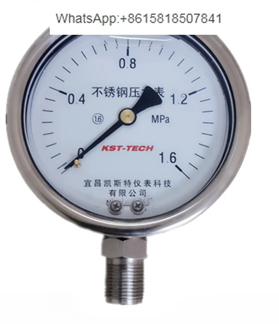 Supply stainless steel seismic pressure gauge YNF100