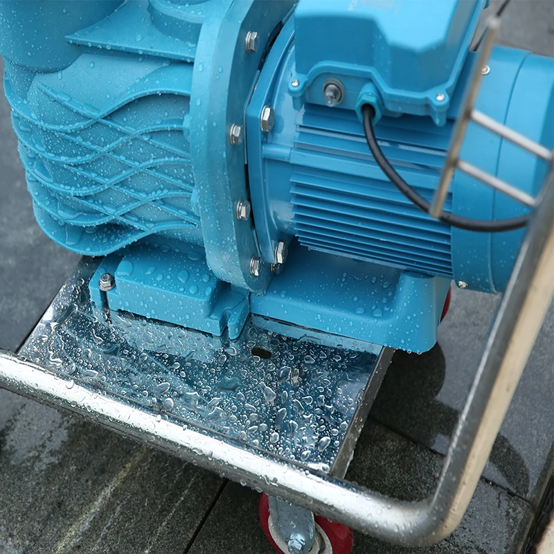 Aspirapolvere subacqueo per macchina per acque reflue con aspirazione manuale per piscina di alta qualità 220V Pulizia del fondo ad alta efficienza