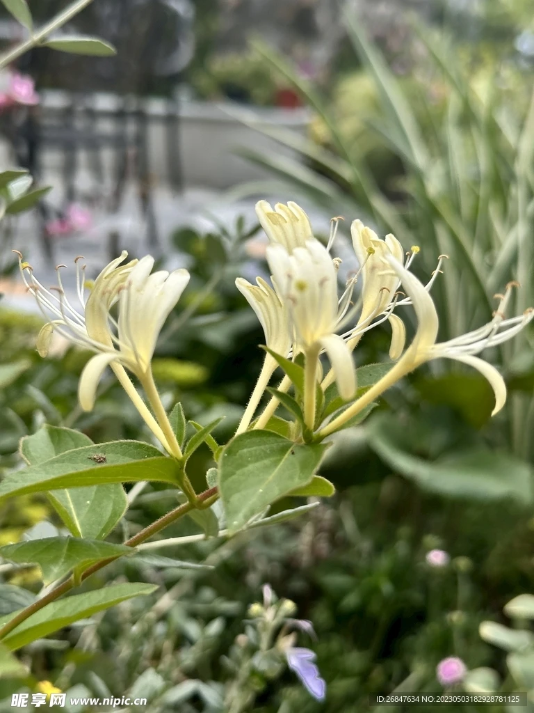 

Металлические детали для тюнинга: стойка, амортизатор, крепление амортизатора, кронштейн, комплект для радиоуправляемых моделей MN 1/12 MN78.