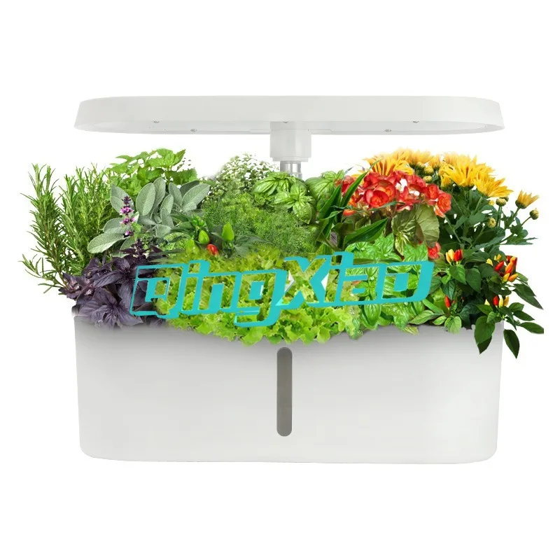 Smart Hydroponic Growing System With Led Grow Light Automatic Watering Soilless Cultivation For Indoor Vegetable Herb Flower