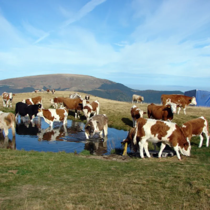 

1Pcs HUDY Professional RC Tool Multifunction Tool socket bracket Screwdriver holder Storage tray 6061 CNC Display stand