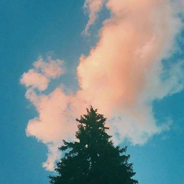 

22 inch LCD Screen For Maserati GT 2007-2015 Carplay Qualcomm Android 13 Car Stereo Radio Multimedia Video Player GPS Navigation