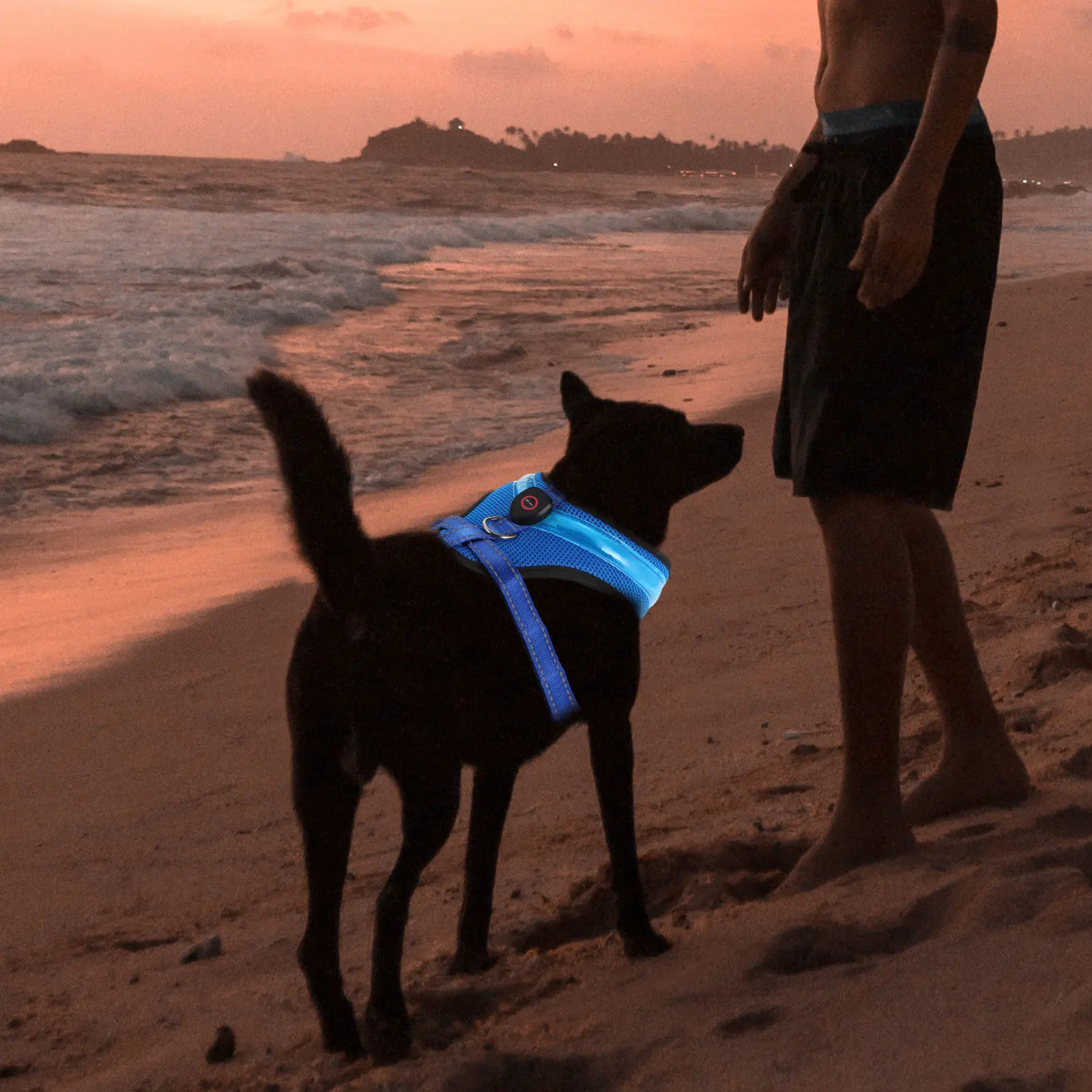 

1Set Luminous LED Dog Vest Breathable USB Rechargeable Comfortable Night Walking Pet Puppy Vest Set Pet Dog Garment