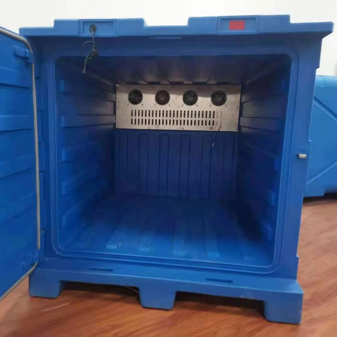 Customized Portable Refrigerated Van Body Refrigerated Cold Box for Van