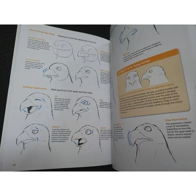 Furry Drawing Tutorial Book English How To Draw Manga Furries 750 Illustrations Detailed Techniques for Head Hands Feet Torso