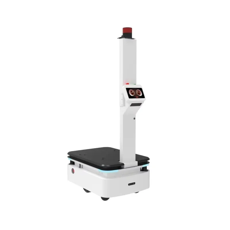REEMAN Dual Fly Boat Max AMR 300KG Load Autonomous with Integrated 10cm Lifting Function