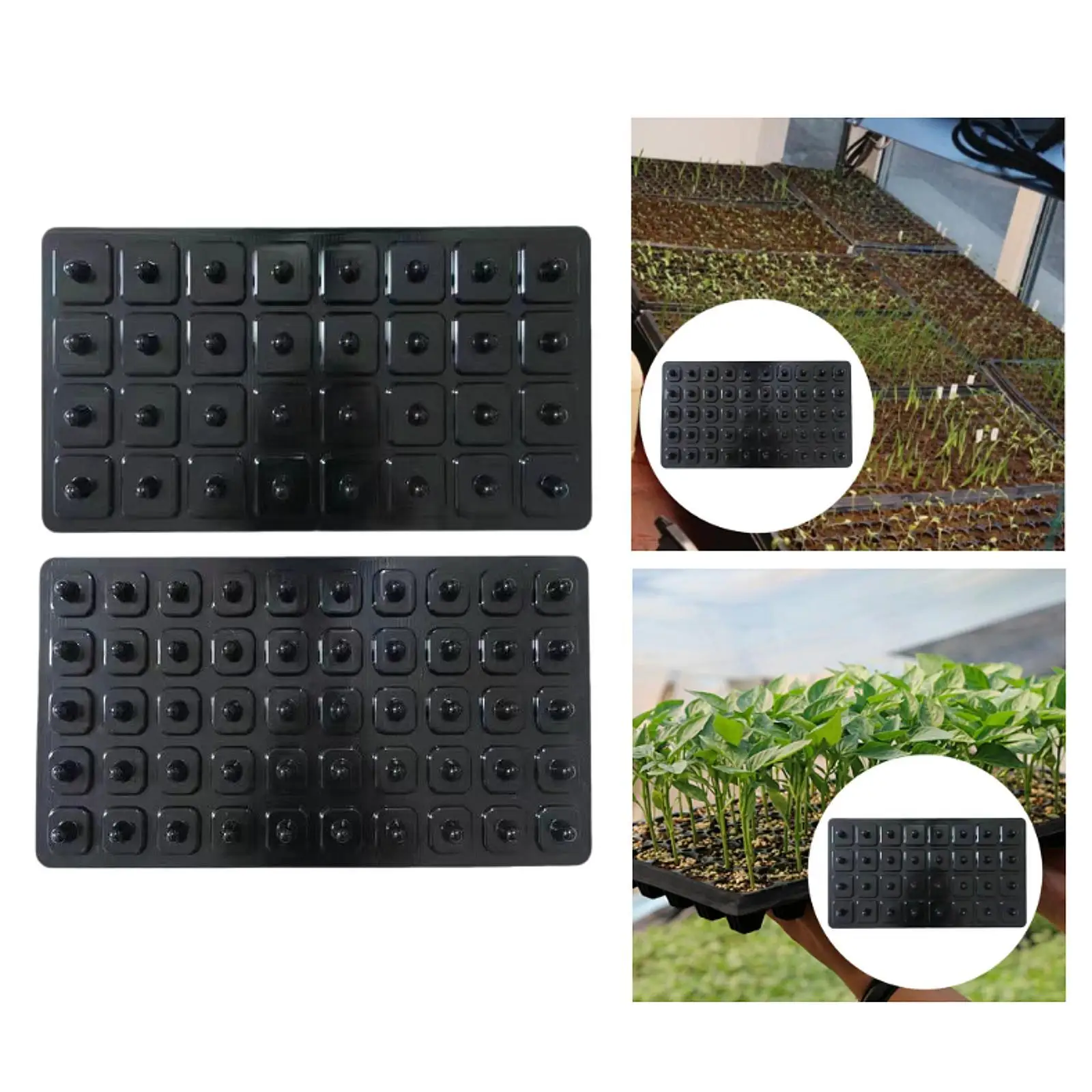 Seed Tray Dibber Planting Seeds and Bulbs Labor Saving Gardener Gift Quickly Setting Out with Handle Seed Spacer Soil Digger