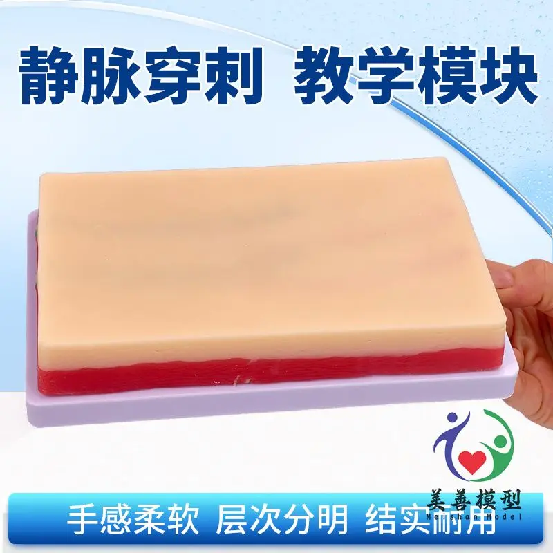 Human simulation skin injection training model, vein puncture module, subcutaneous injection exercise, forearm puncture
