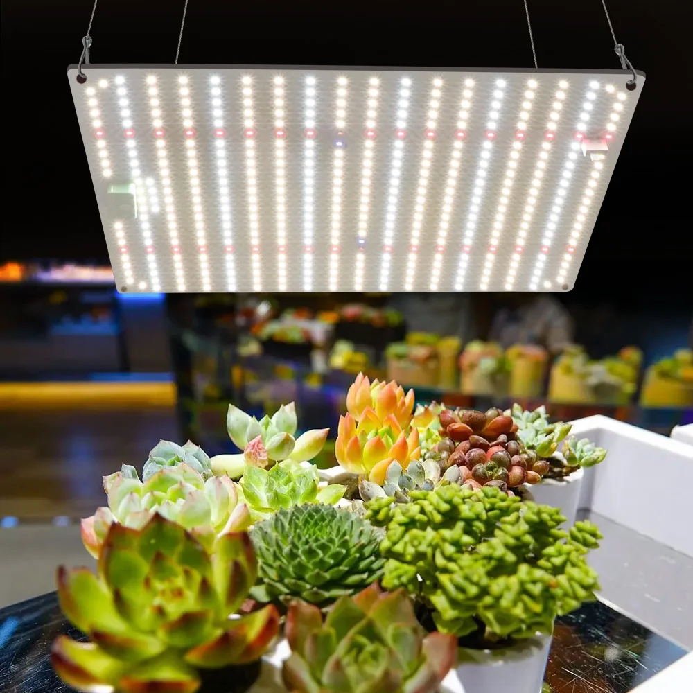 水耕栽培ライト,フルスペクトルLED植物栽培ライト,1000W,lm282b,屋内植物,温室,種子用