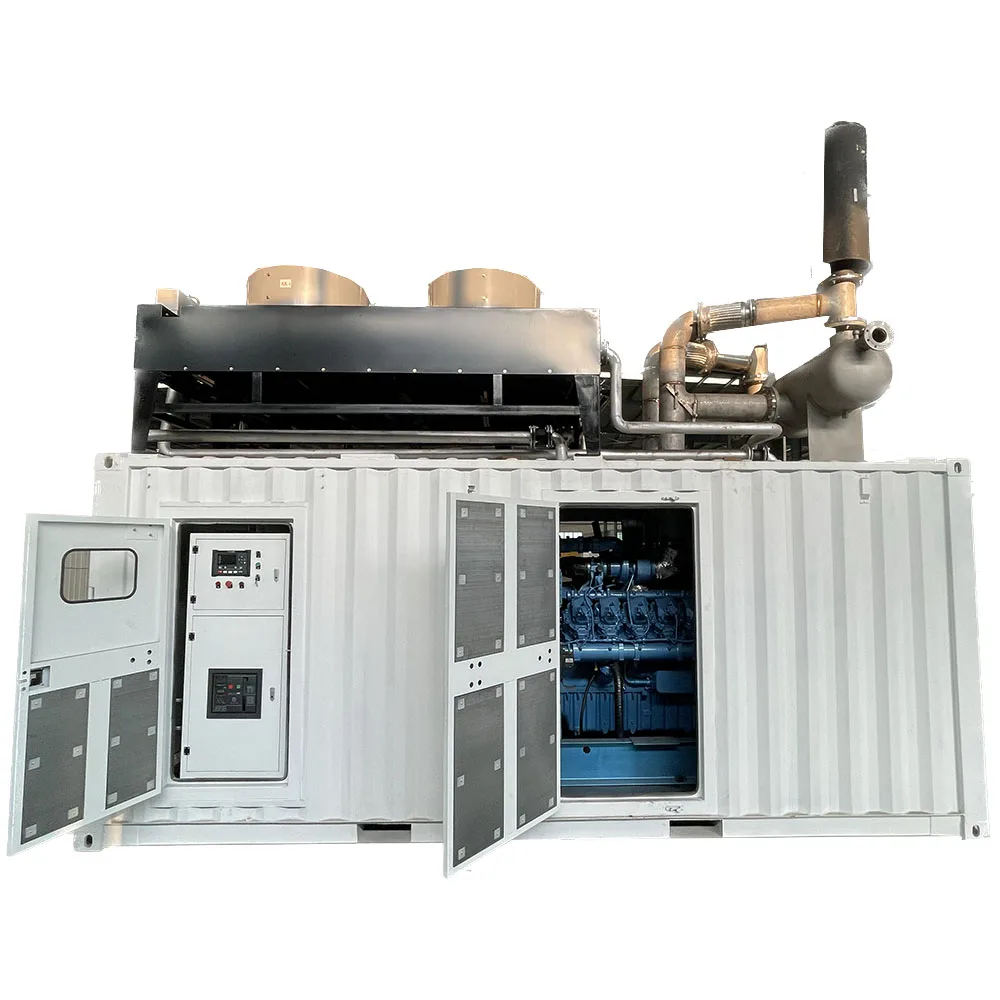 220V Power Elektrische Gas Generator Prijs 750kva Natuurlijke Set