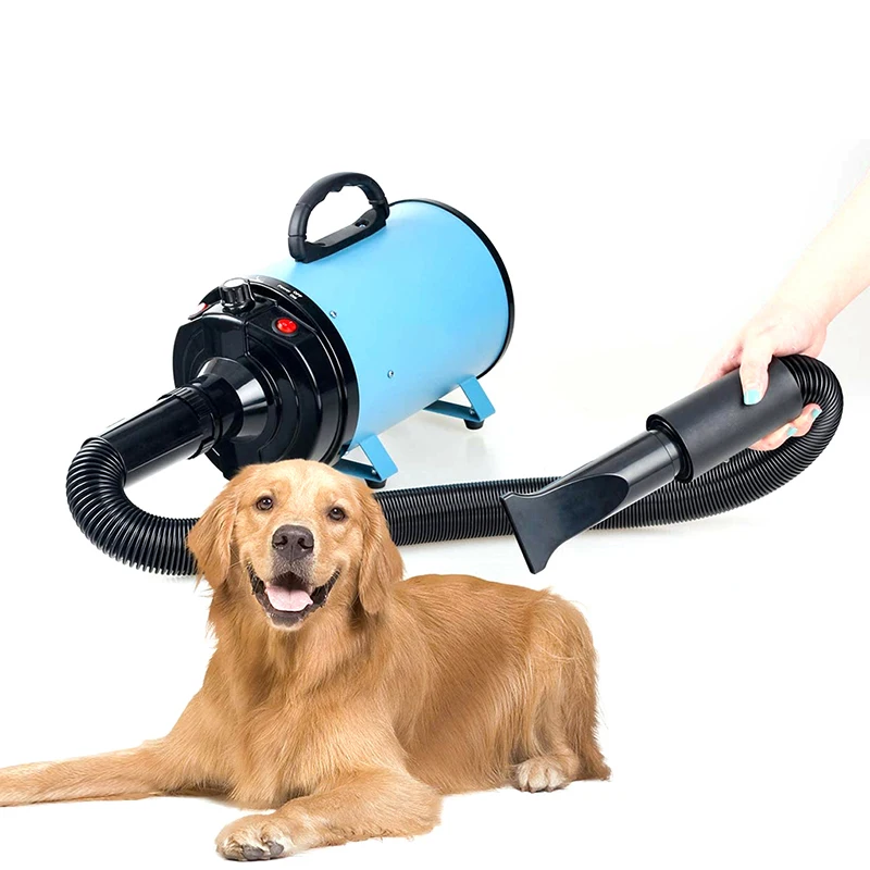 Silent Blow Dryer Secador Fast Cat Blaster Hair Dryer Powerful Warm Wind Dog Hairdryer Grooming Water Blower Pets Accessories