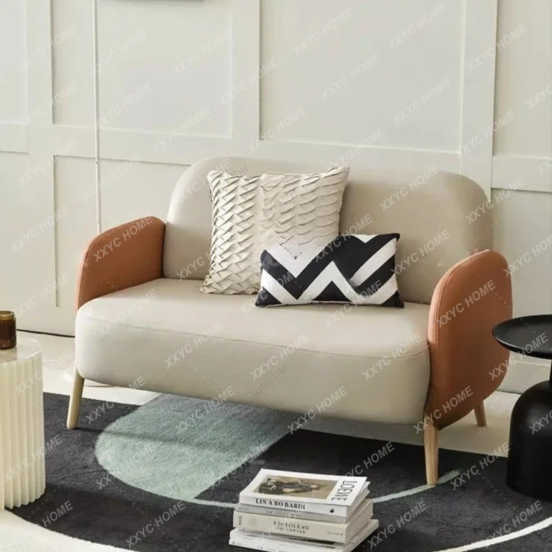 small apartment technology cloth sofa modern double sofa waterproof