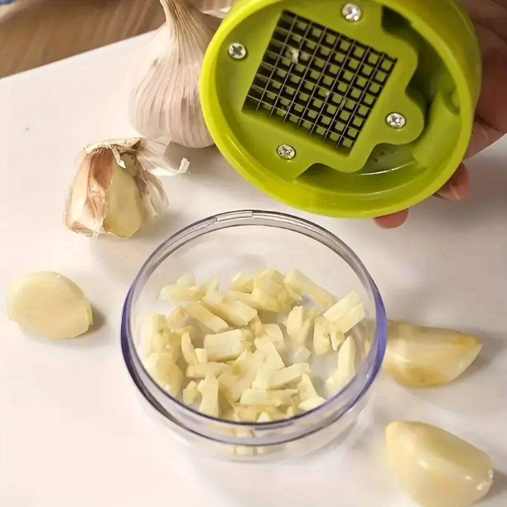 1pc Multifunctional Garlic Press Manual Mincer， ABS and Stainless Steel Garlic Slicer Handheld Ginger Masher with Storage Case