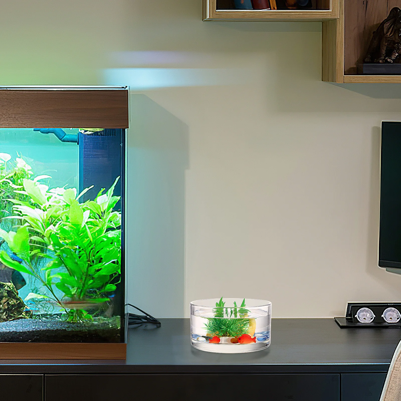 

Clear Glass Terrarium Hydroponics Vase Decorative Round Glass Planter Aquarium for Home Household Fish Tank Round Planter