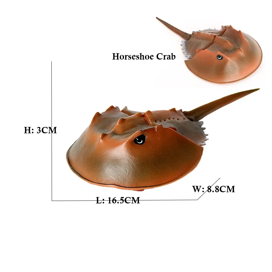 海洋玩具 クラゲ タツノオトシゴ ヒトデ エビ 三葉虫 フィギュア アクションフィギュア プラスチック動物 おもちゃモデル ゲーム 子供向けギフト