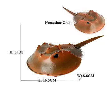8 最佳銷售 海馬 - №5