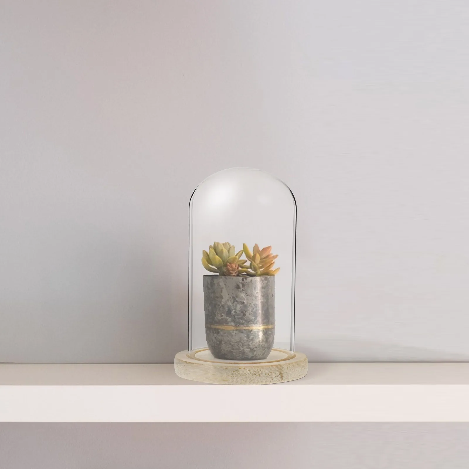 

1Set Clear Glass Dome For Preserved Flower Display Cover Decorative Landscape Case Eternal Flower Shade Glass Display Cover