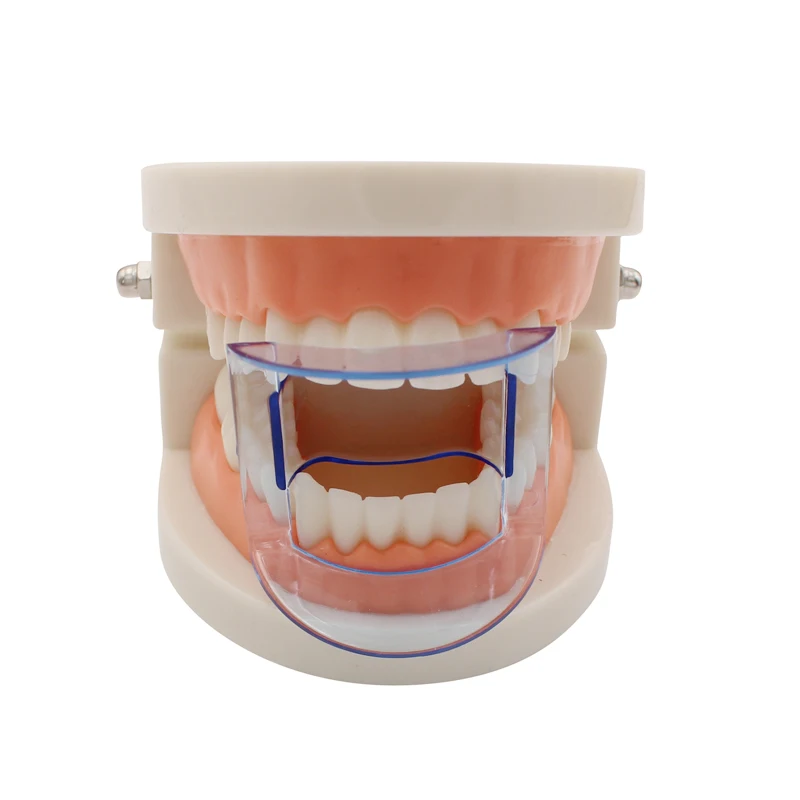 Dental ortodontyczny zwijacz policzków do ust Expander otwieracz do ust w autoklawie do tylnych zębów