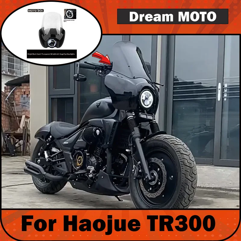 【Premium】For Haojue TR300 modified with DS-style retro “pig’s head” front fairing, LED round headlight assembly