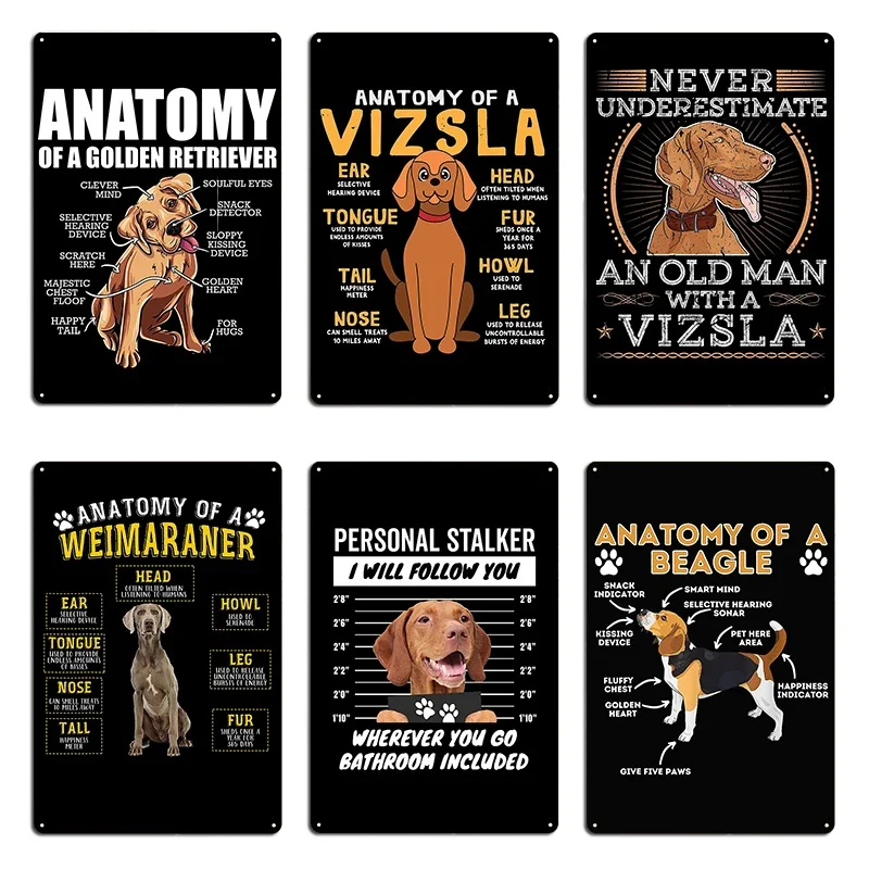Anatomy Of A Golden Retriever Goldie Labrador Anatomy of Vizsla Dog Metal Plaque Retro Bar Wall Decor Create Tin Sign Poster