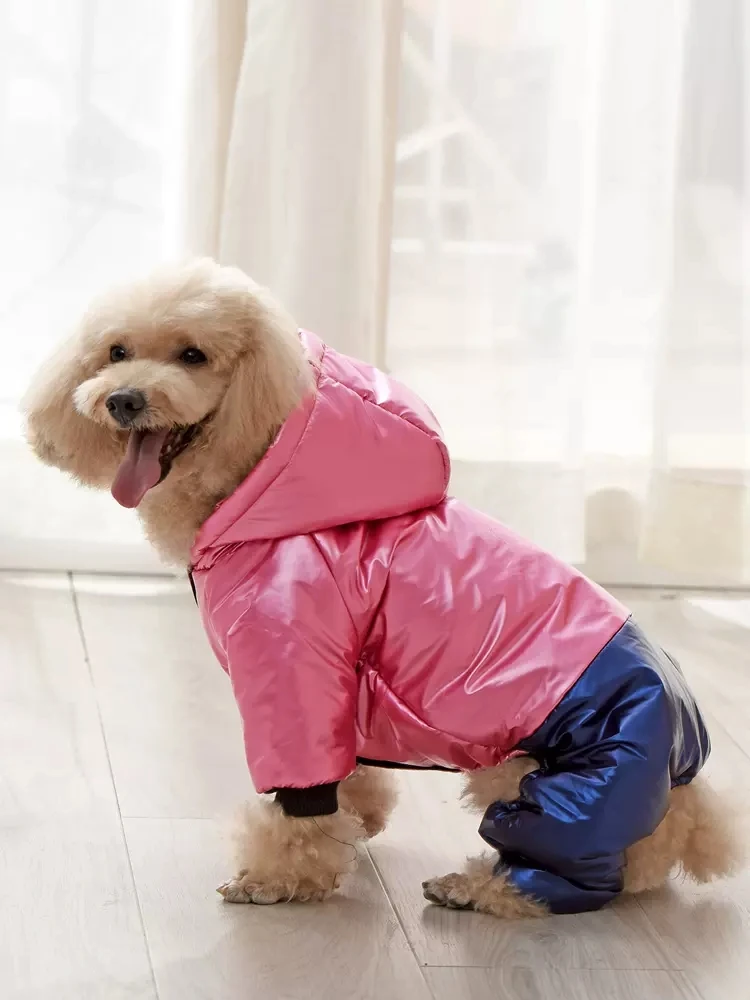 Dog Clothing Winter Clothing Four Legged Down Cotton Jacket For Warmth Preservation Small And Medium-sized Dog Pet Clothing