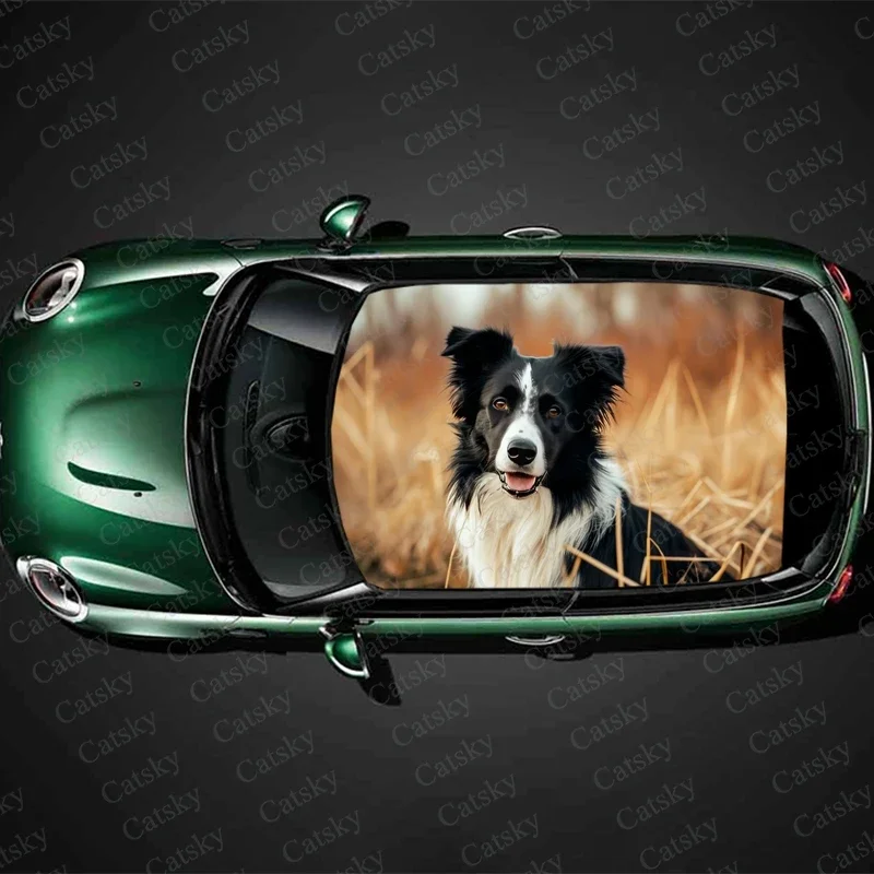 Border Collie Dog Car Roof Sticker Wrap Racing SUV Accessories Packaging Painted PVC Custom Car Graphic Decal