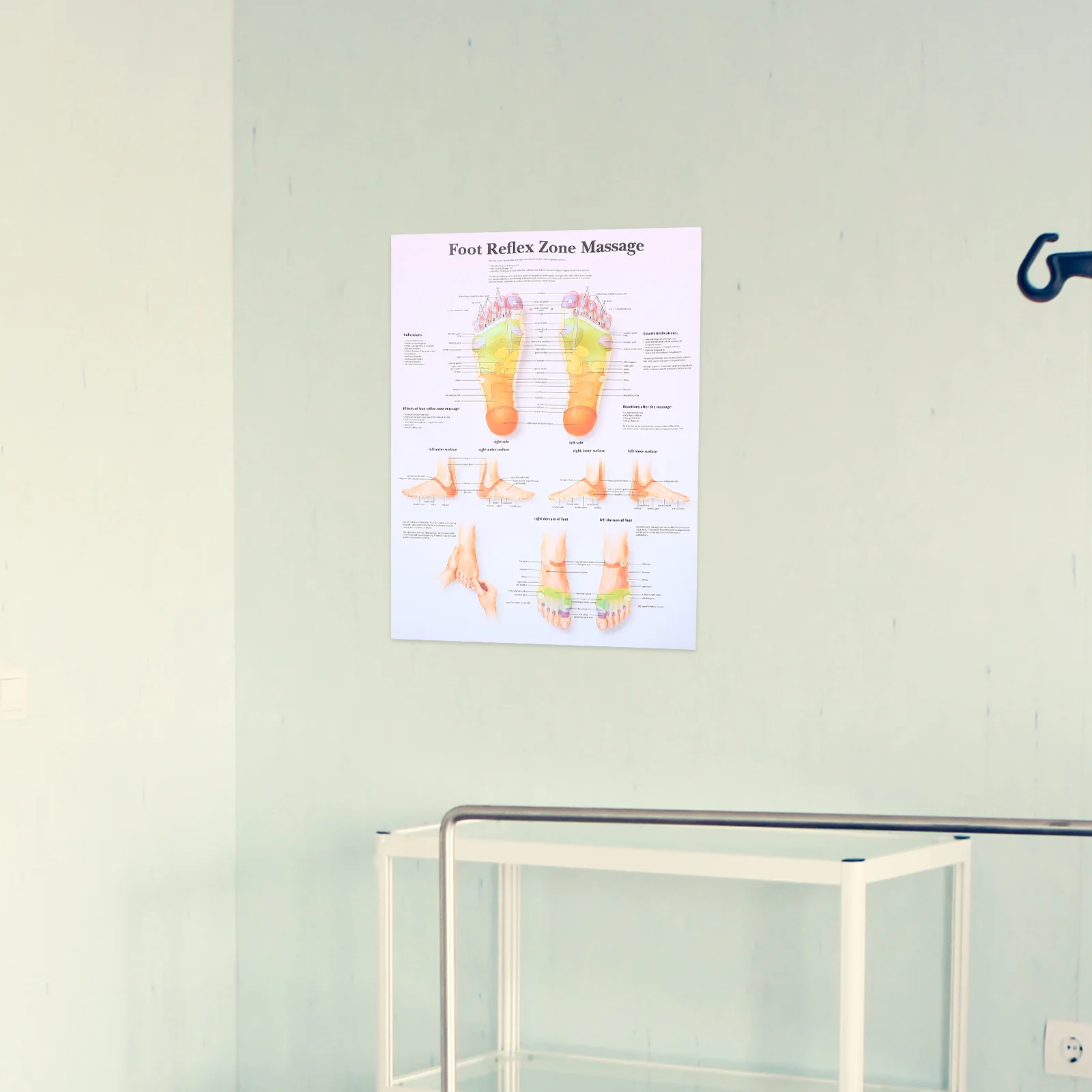 

Foot Reflexology Poster Wall Chart Decoration Office Decorations Human Body Massage
