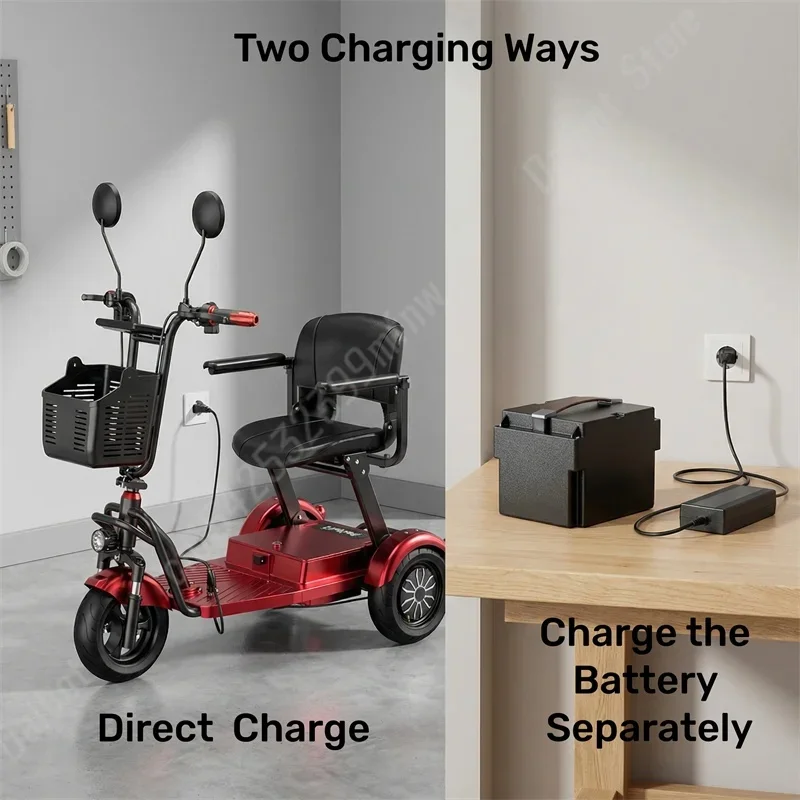 10 Inch Family Mobility Scooter 3 Wheels Foldable 1000W 48V Mini Electric Tricycle With Basket Removable Battery Remote Control
