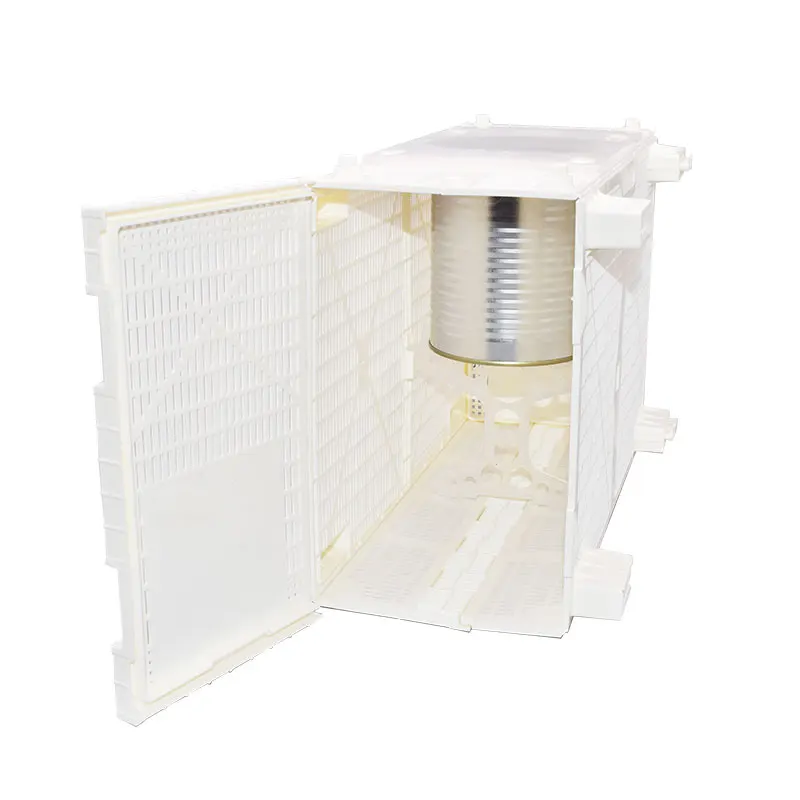 حزمة حافلة النحل البلاستيكية حزمة نحل العسل قفص قفص نقل النحل التهوية لتخزين ملكة البريد معدات تربية النحل #4