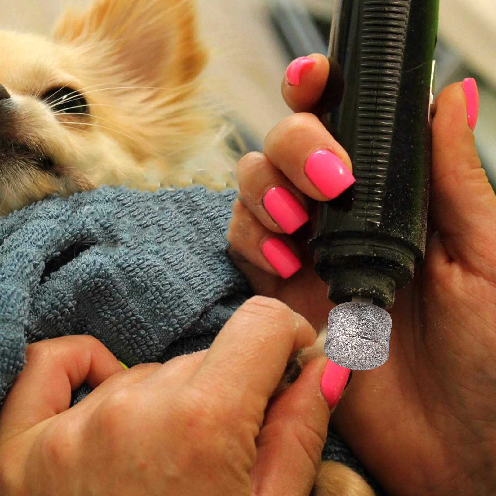 Cabezal de muela de repuesto para amoladora de uñas, accesorios de archivo eléctrico, punta para mascotas elevada, 10 Uds.