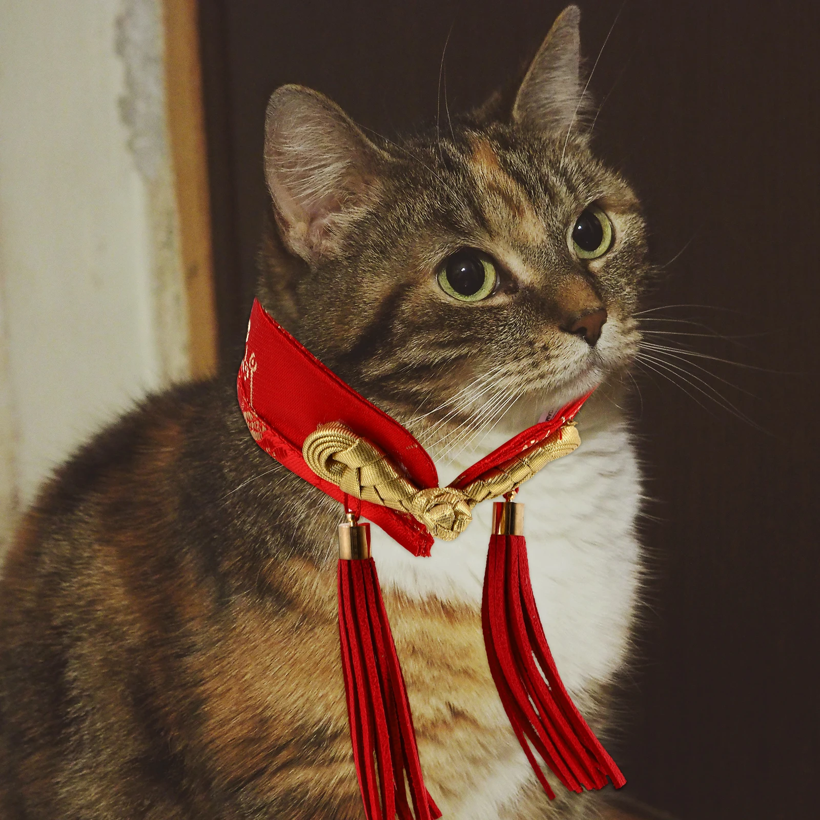 

New Year Bow Tie Decorative Dog Collar Cat Necktie Acrylic Pet Costume Chinese Holiday Party Supplies Christmas Ornament