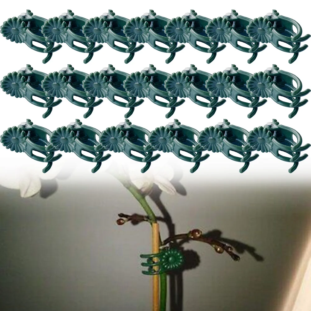 20Pcs Orchid Stem Clip Plant Support Vine Plastic Clips Flower Grow Branch Clamps Garden Plant Support Fixture Bracket