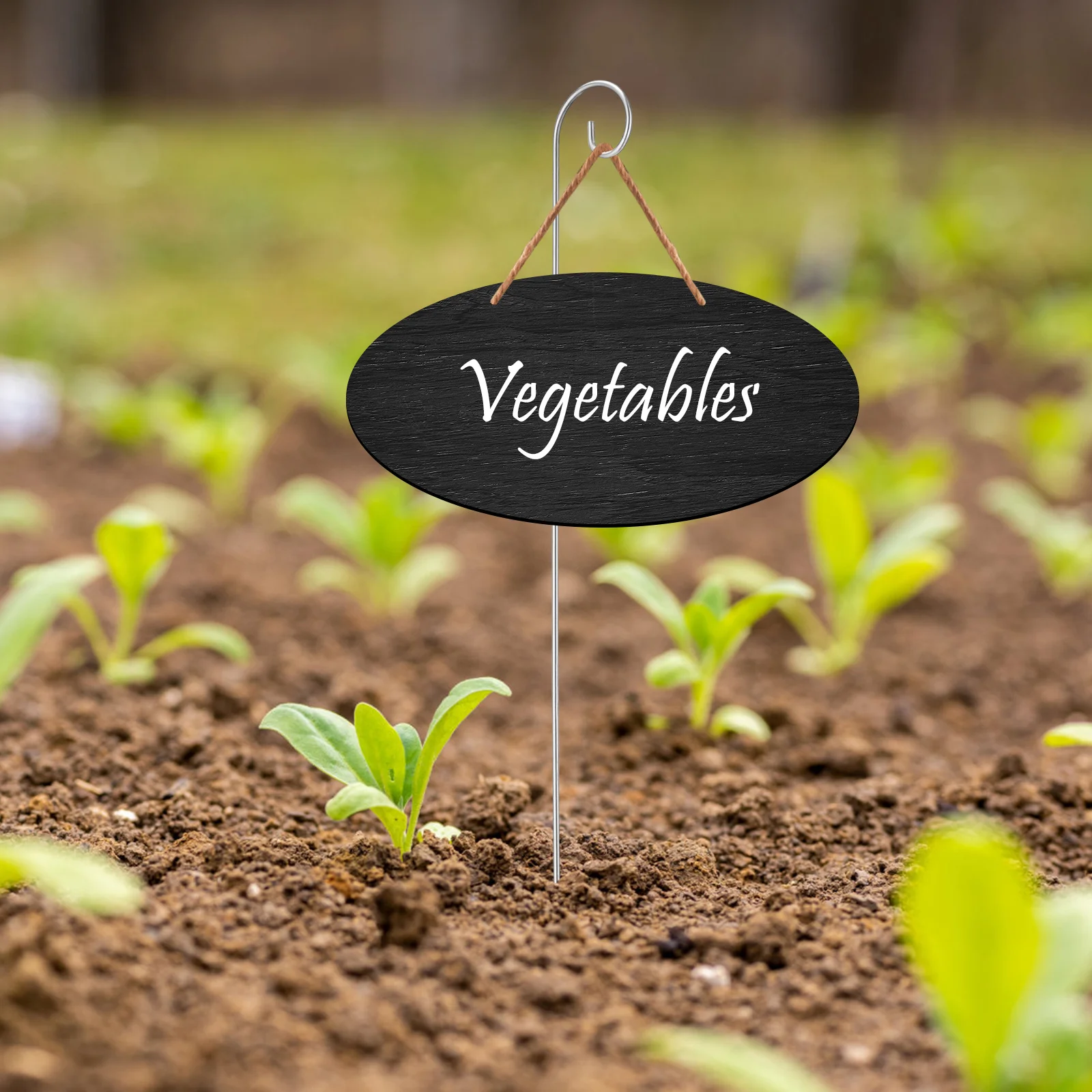 

10Pcs Heavy Duty Metal Shepherd Hooks Outdoor Garden Plant Pole Stakes for Flower Basket Lantern Plant Pot Hangers