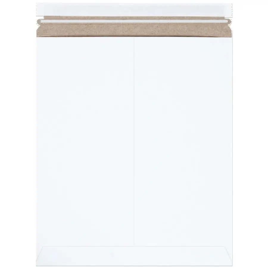 

Rigid Mailers 12L x 15W 100 Pack Cardboard Mailer Envelopes for Photos, Artwork, Certificates Stay Flat