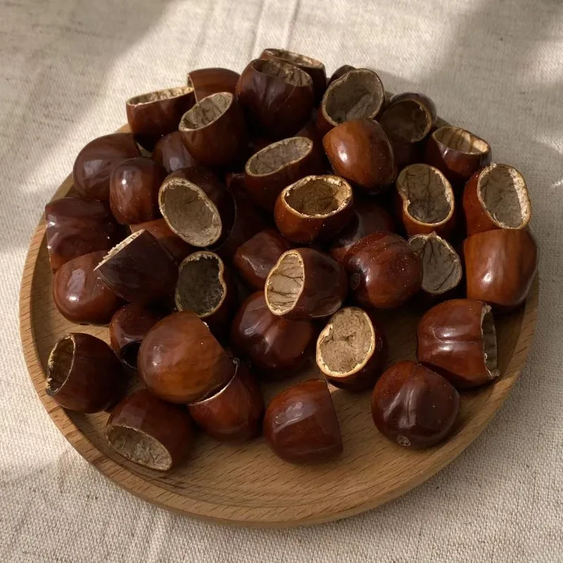10pcs Natural Shell Wind Chimes DIY Flowers Cardamom Pala Plants Shell Plants Hand Rattle Material Pack Rubber Fruit Handmade