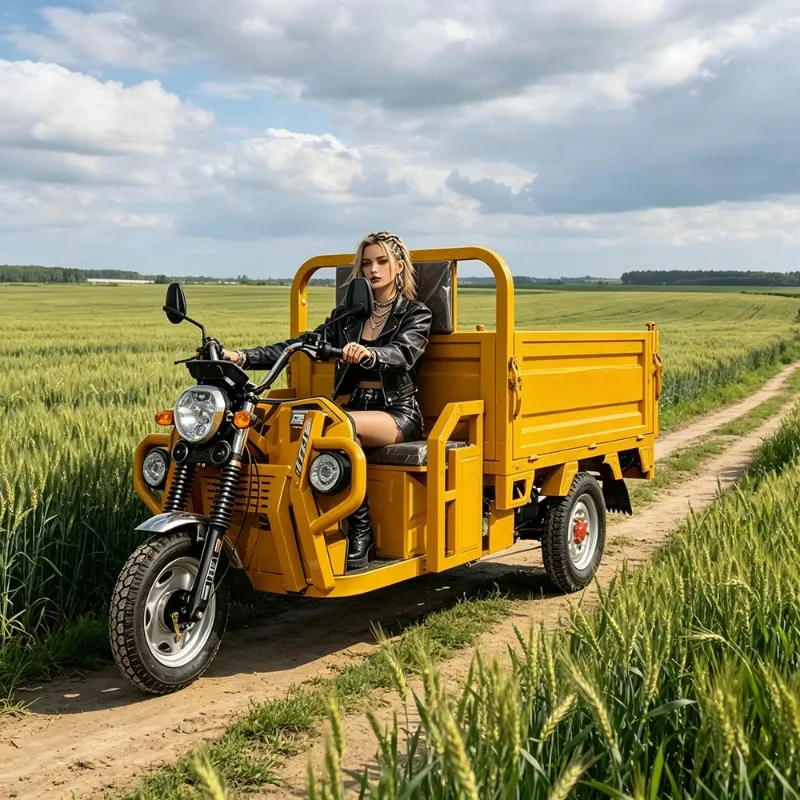 Durable Electric 3-Wheeler Cargo Motorcycle with Large Loading Box - Versatile Electric Trike for Warehouse and Farm Use