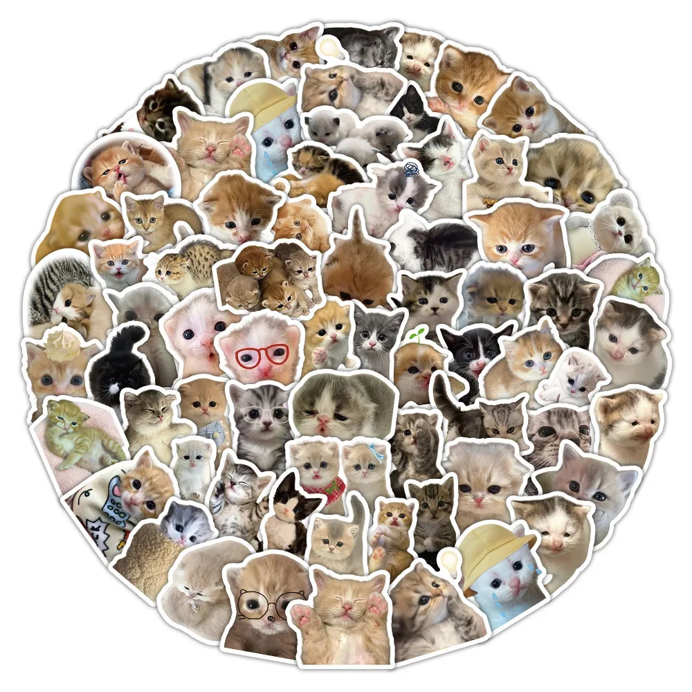 70Pcs Cute Chubby Kitten Pattern Stickers Lovely Cat Animal DIY Decor Decals Giajar Sticker Store